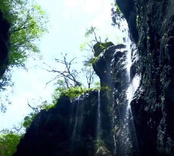 青山綠水，白龍江畔江畔息白鷺，兩岸綠橄欖入眼的都是純樸自然枝上花開(kāi)，春來(lái)水暖魚(yú)蝦戲水，鳥(niǎo)語(yǔ)花香心中充滿(mǎn)著舒暢之感祥宇生態(tài)產(chǎn)業(yè)園，位于隴南市武..